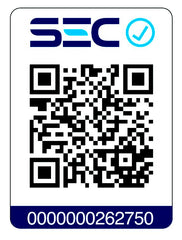 Kit 2 Chargers + Cable USB