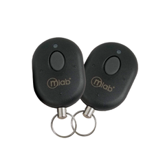 Inmovilizador Anti-Asalto